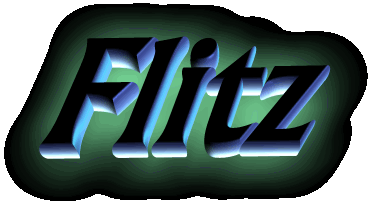 Flitz Group
